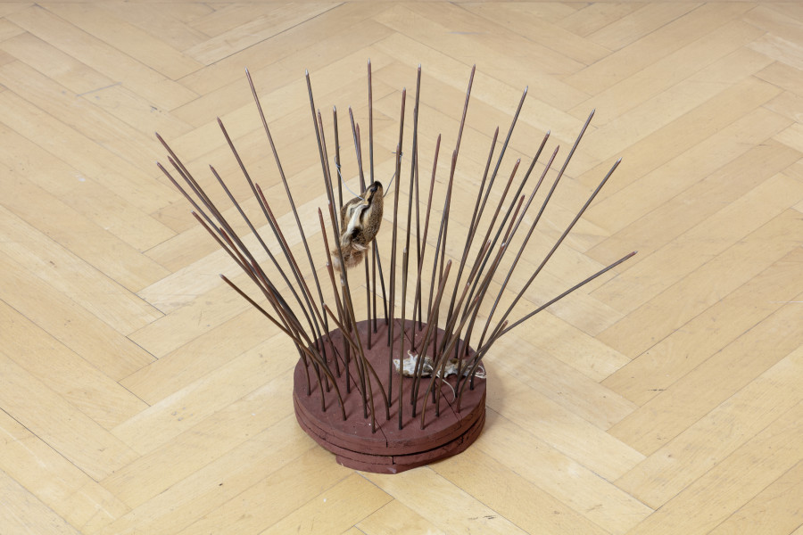 Andreas Slominski, Raubvogelfalle, 1996, Photo: Stefan Rohner, © Andreas Slominski