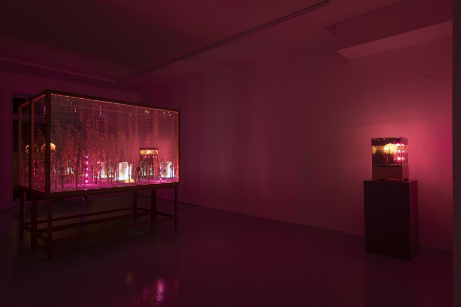 Exhibition view, Alexandre Joly, Double Rainbow, Wilde, 2022. Photo: Greg Clement