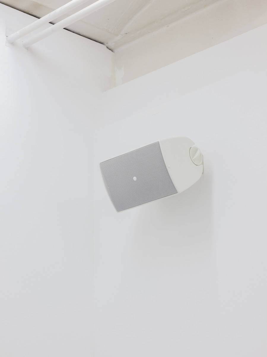 Caroline Bourrit, Charge Fantôme, Installation view, 2022, CAN Centre d’Art Neuchâtel,  Photo: S. Verdon