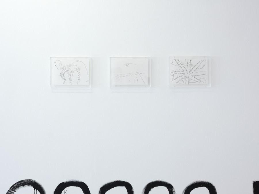 Exhibition view, Fabian Marti, Vide tentaculaire, Wilde, 2022. Photo: Tara Ulmann