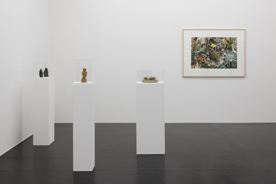 Installationsansicht Davor · Darin · Danach. Die Sammlung im Wandel, 15.5.–7.8.2022, Aargauer Kunsthaus, Aarau. Peter Fischli (*1952) & David Weiss (1946–2012). Ratte und Bär, 1981, Der Erfinder des Kaugummis, 1981, Einheimischer Waldboden, 1981, Tonobjekte, diverse Masse, Aargauer Kunsthaus Aarau / Depositum der Sammlung Andreas Züst. Ohne Titel (Funghi 06), 2006, C-Print auf Papier, 103 × 148 cm, Aargauer Kunsthaus, Aarau / Schenkung Sammlung Ringier, Schweiz. Foto: ullmann.photography