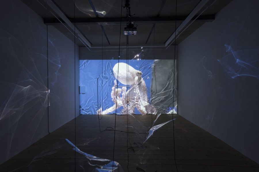 Exhibition view, Riikka Tauriainen – Intimacy of Strangers, sic! Elephanthouse, 2020-2021. Photo credit: Andri Stadler