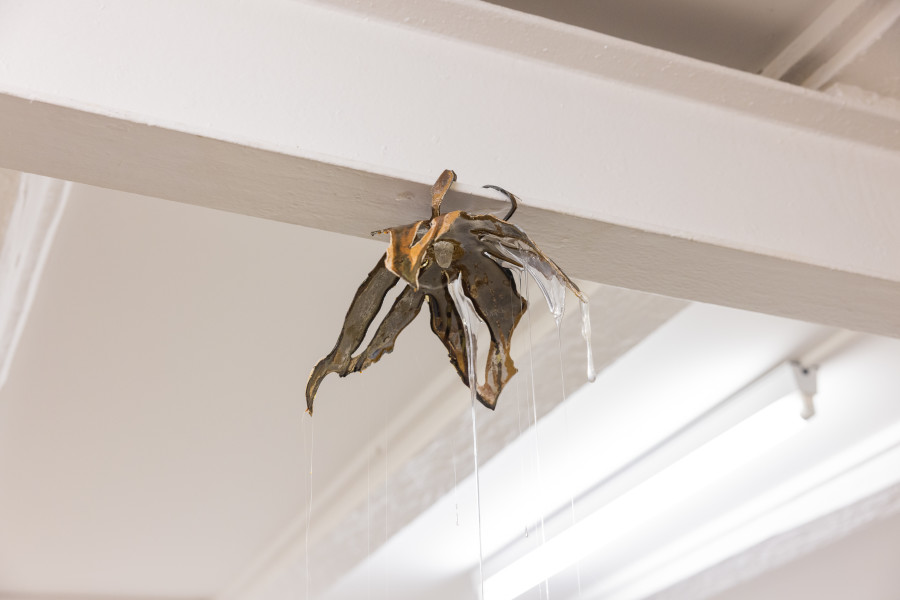 Yolane Rais, Racine, 2022/ Photo: Julie Folly / Courtesy: the artist and WallStreet