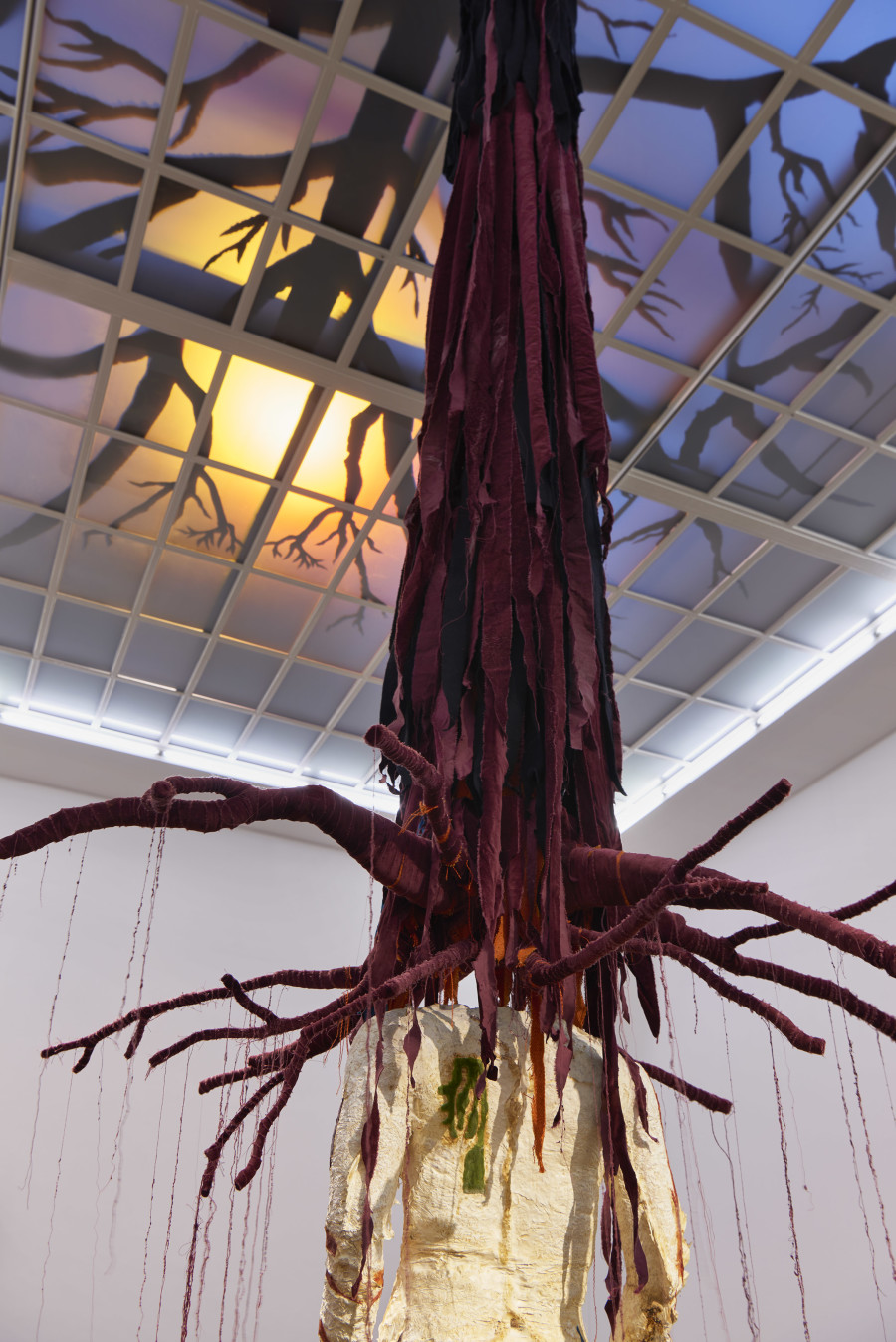 Installation view, Pedro Wirz, Environmental Hangover, Kunsthalle Basel, 2022, view on Chapéu Telúrico, 2022. Photo: Philipp Hänger / Kunsthalle Basel