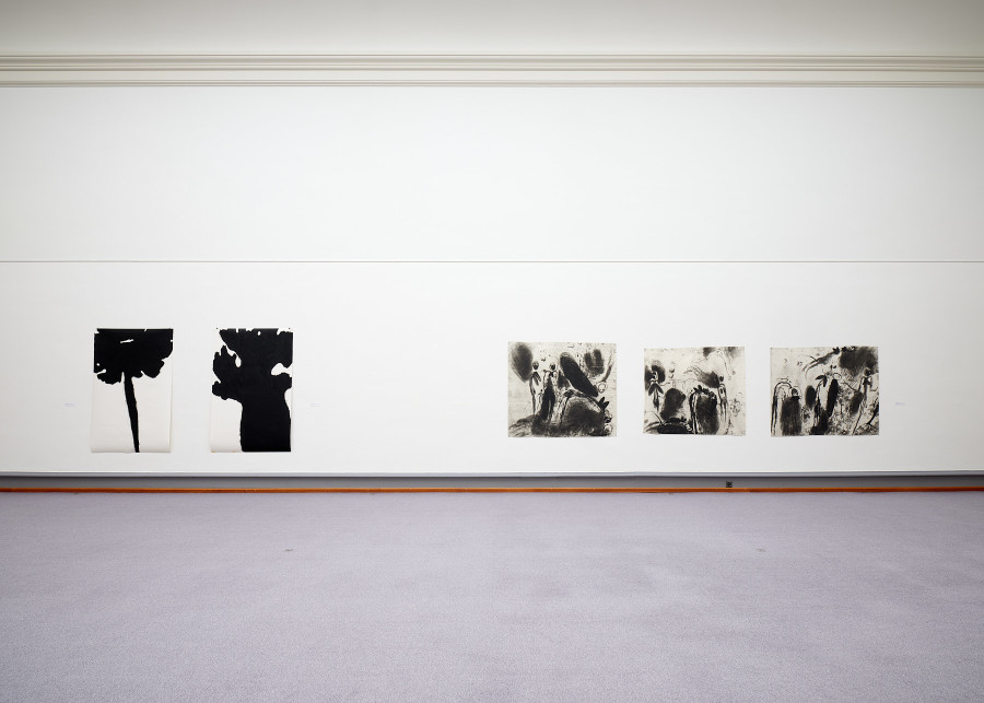 Exhibition view, Hémisphère, Kunstmuseum Solothurn, 2022.