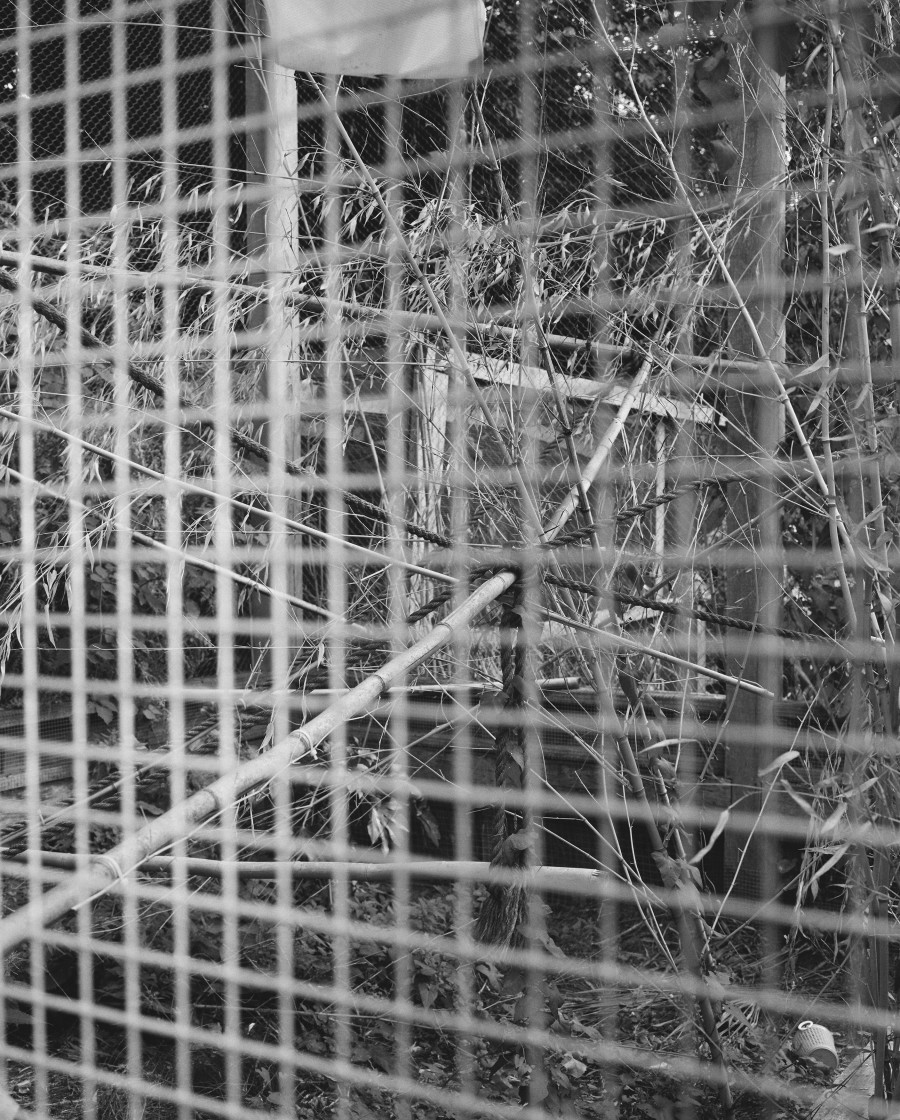 Joanna Piotrowska, Enclosure XXVIII, 2019. courtesy of the artist and Southard Reid, London