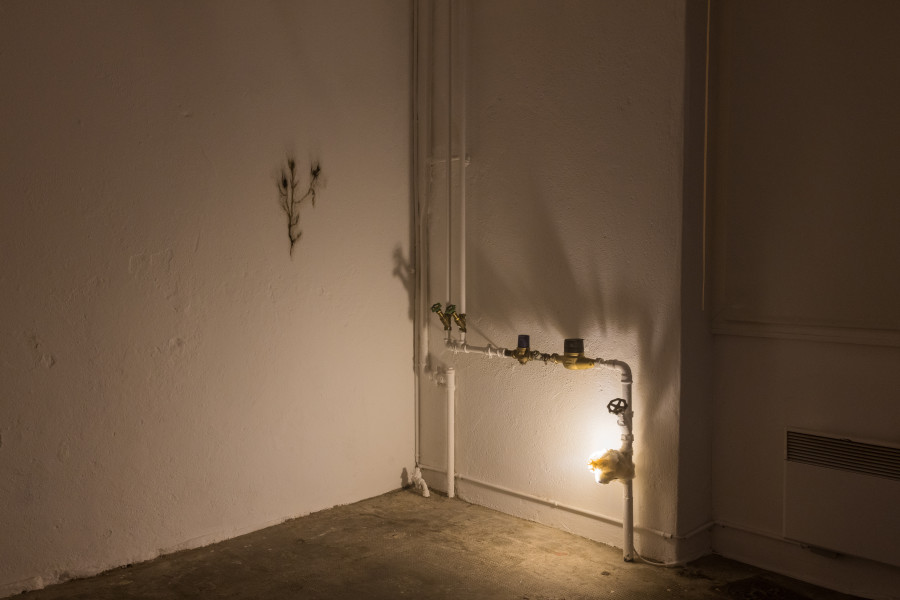 Exhibition view « Fusionner nos Ardeurxes » at WallStreet, Fribourg, 2022 / Photo: Julie Folly / Courtesy: the artist and WallStreet