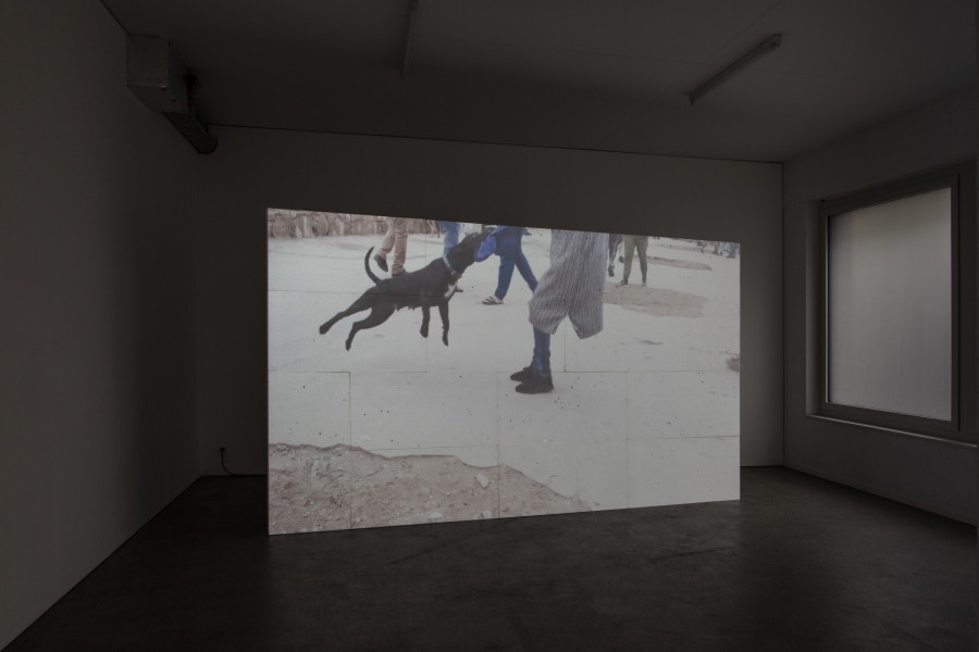 Exhibition view, d.e.d. world, 2022, HD video, color, sound, 16 secs (loop), projection on 14 Styrofoam panels, 2 x 3.5m, buttermilk on windows. Espace 3353, 2022. All credits to ©Anastasia Mityukova