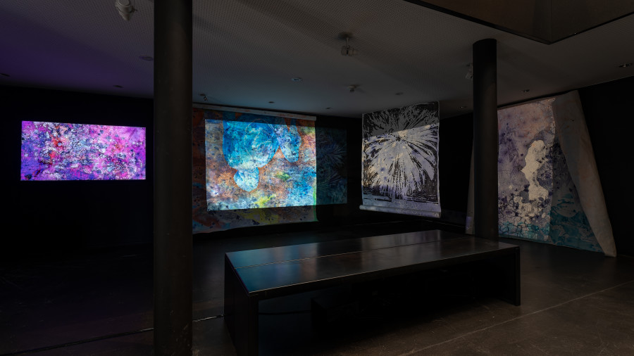 Exhibition view, Les frontières sont des dessins, Galerie C, 2022.