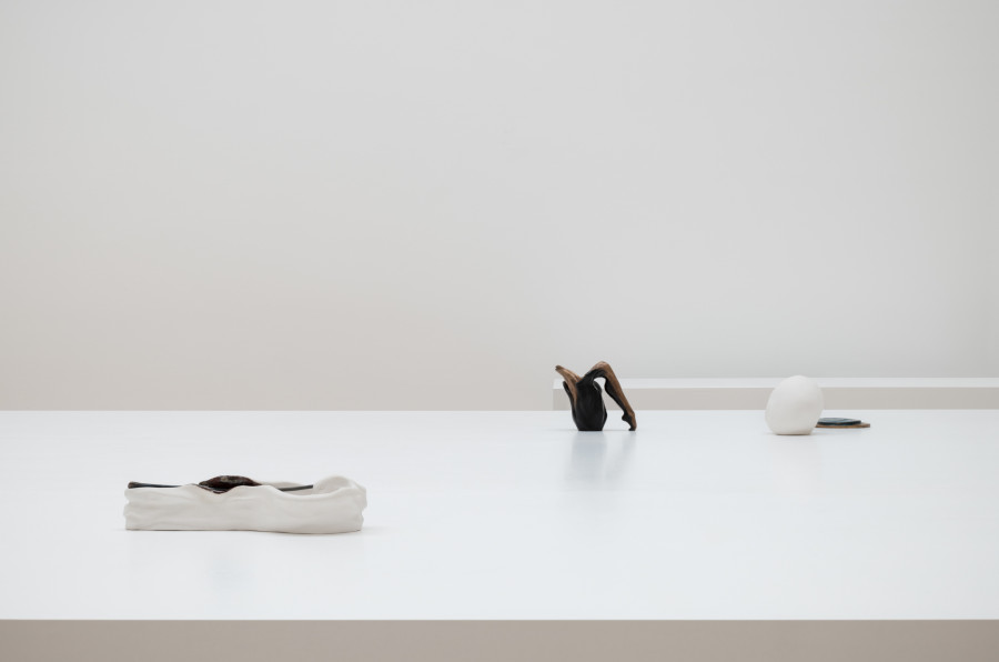 Grace Schwindt, Installation view Kunstmuseum St.Gallen, Courtesy the artist and Zeno X Gallery, Antwerp, Photo: Sebastian Stadler