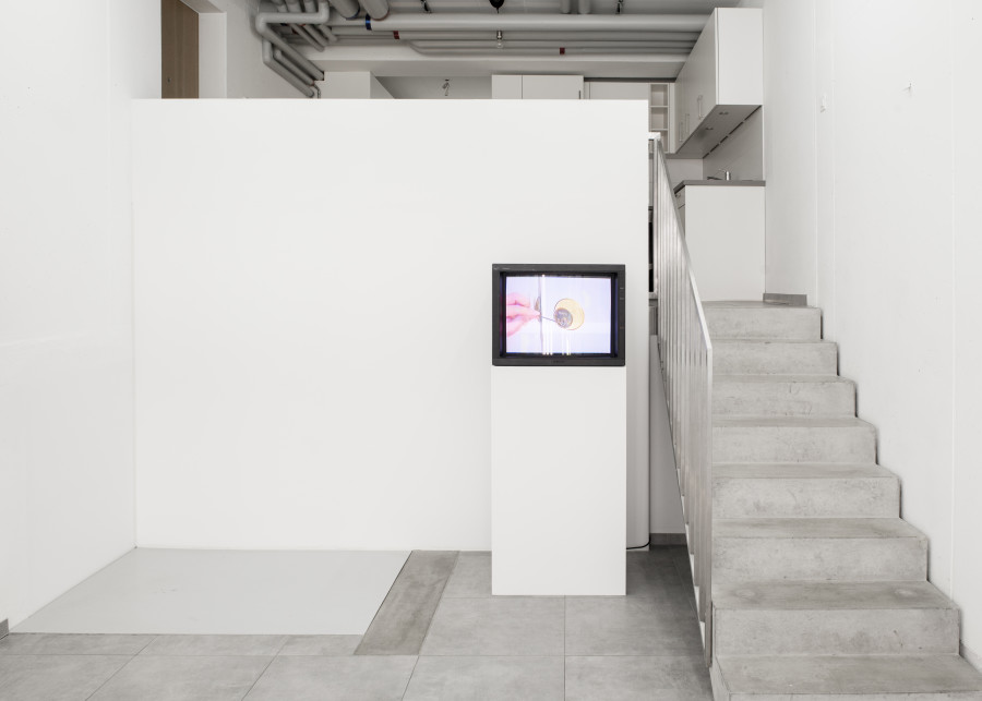 Exhibition view, Why Do We Say a House Burns Down, When The Fire Is Burning Up?, All Stars, Lausanne — Picture © Simon Rimaz