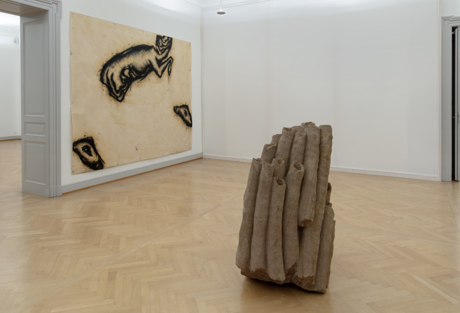 Installationsansicht Kunstmuseum St.Gallen, Foto: Stefan Rohner