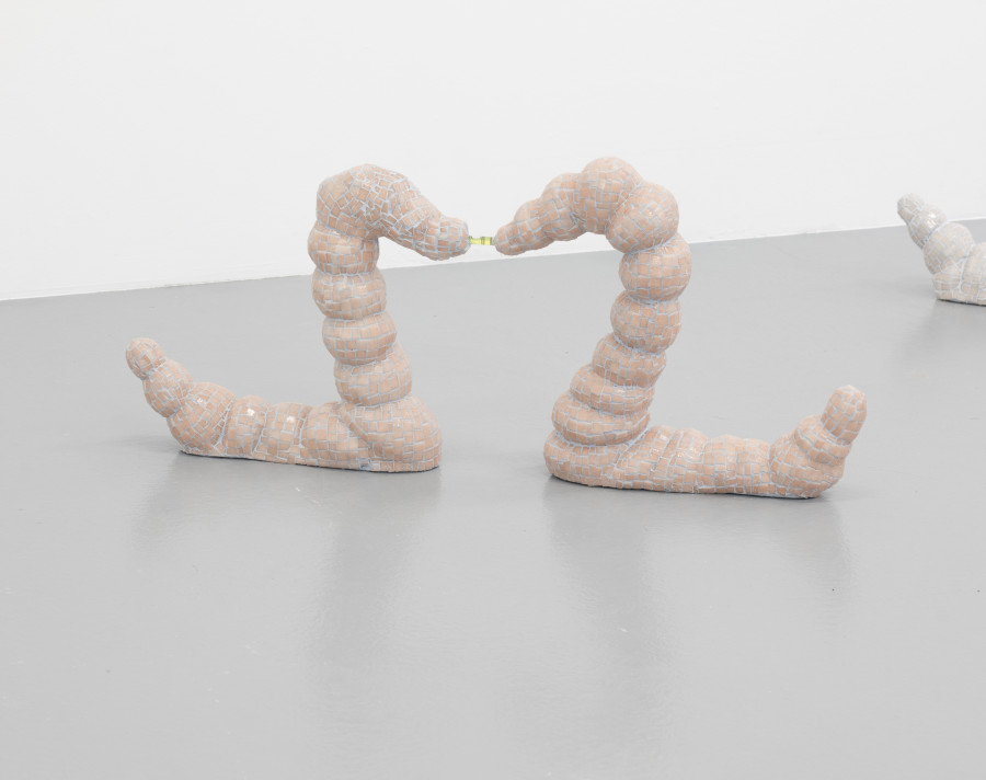 Zsófia Keresztes, Fence, 2022, Soft Alliance I-VI, Installation view, CAN Centre d’Art Neuchâtel, Photo: S. Verdon