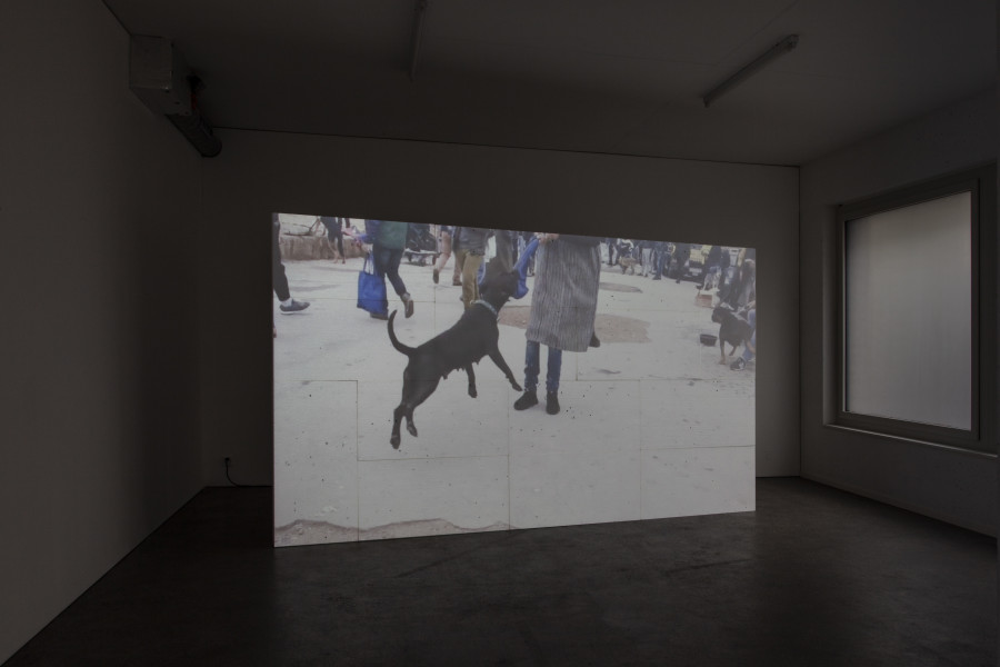 Exhibition view, d.e.d. world, 2022, HD video, color, sound, 16 secs (loop), projection on 14 Styrofoam panels, 2 x 3.5m, buttermilk on windows. Espace 3353, 2022. All credits to ©Anastasia Mityukova