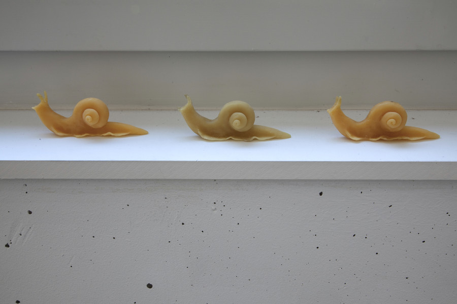 Exhibition view, Jeanne Tara, La mesure des possibles, Espace 3353, 2022. Photo: Anastasia Mityukova. Courtesy: the artist and Espace 3353