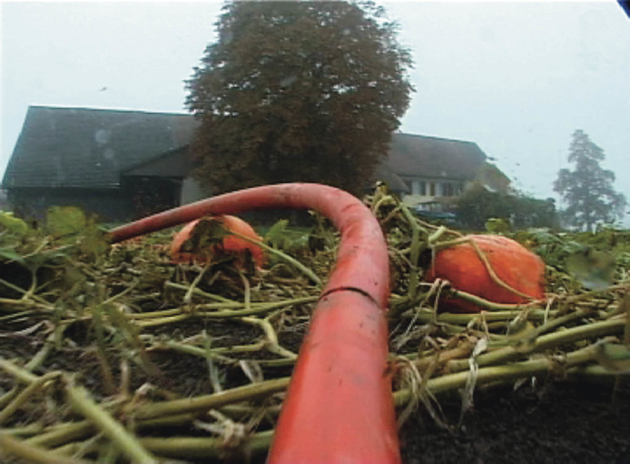Christoph Rütimann (*1955 Zürich), Handlauf Kürbis, 2005, Video. Courtesy des Künstlers