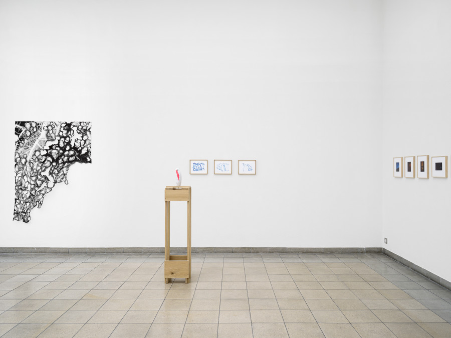 Kunstschaffen Glarus 2022 (A-L), exhibition view, Kunsthaus Glarus, 2022. Photo: Cedric Mussano