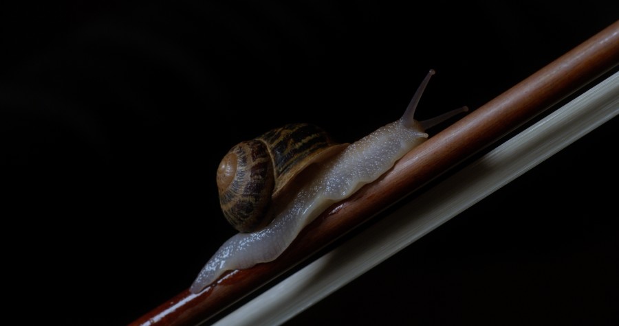 Anri Sala, If and Only If, 2018, Single channel HD video and discrete 4.0 surround sound installation, color 9:47 min. Courtesy of the artist, Marian Goodman Gallery, New York / Paris / London, and Galerie Chantal Crousel, Paris © Anri Sala