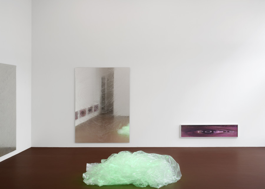 Installation view of "I Wish I Could Cry Blood". Photo credits: Marc Asekhame. Courtesy of the artist and Karma International.