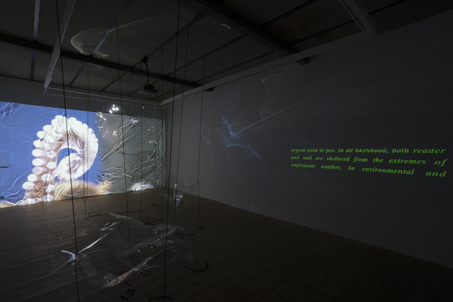 Exhibition view, Riikka Tauriainen – Intimacy of Strangers, sic! Elephanthouse, 2020-2021. Photo credit: Andri Stadler