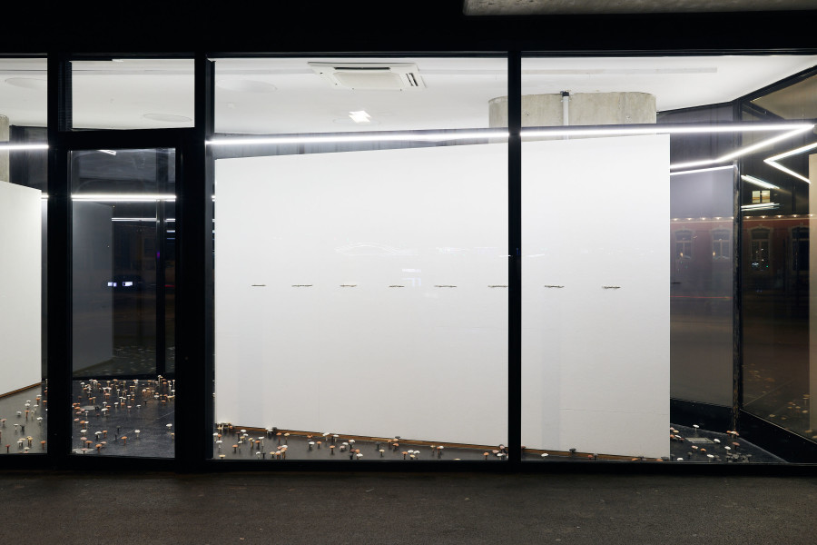 Ishita Chakraborty, In Other Words, 2023. Installation view. VITRINE Basel. Photographer: Moritz Schermbach.