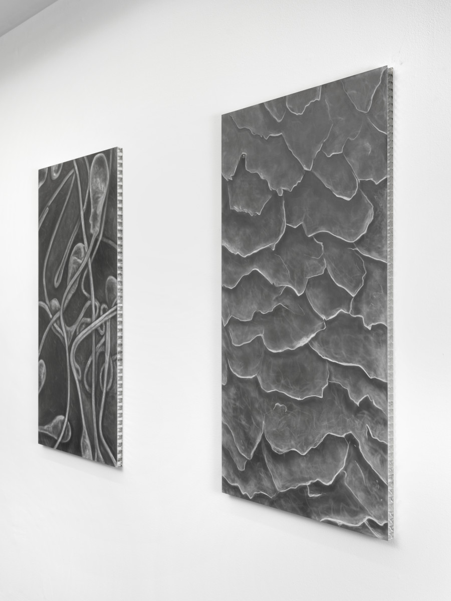 Exhibition view, Juan Antonio Olivares, SELF-PORTRAIT, Galerie Maria Bernheim, 2022.