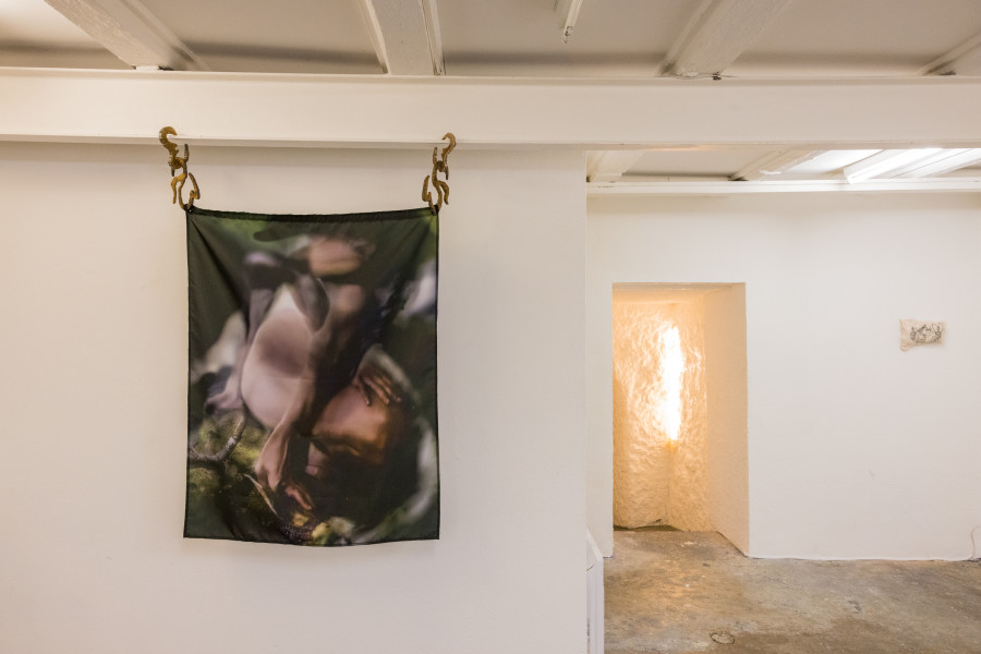 Exhibition view « Fusionner nos Ardeurxes » at WallStreet, Fribourg, 2022 / Photo: Julie Folly / Courtesy: the artist and WallStreet