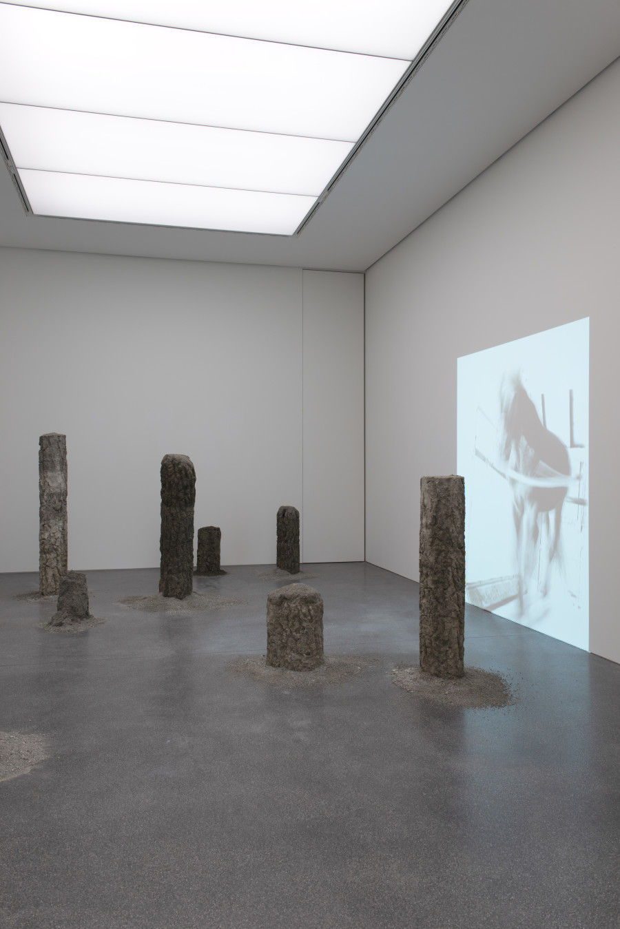 Kleiner Wald: Installation mit Baumstämmen, Sand, gepresst. The Horse: Videoprojektion, 9 Min, mit Ton.