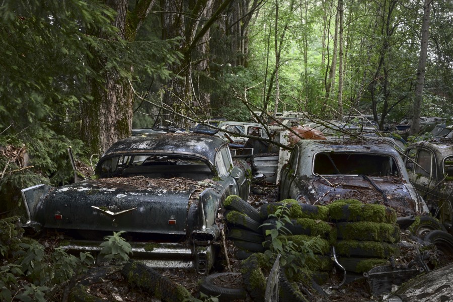 Vintage car bumpers in the Franz Messerli auto-graveyard in Kaufdorf, Bern, 2009  Erik and Petra Hesmerg and More Gallery Courtesy Fairweather & Fairweather LTD and More Gallery
