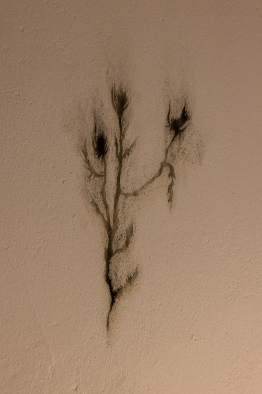 Romy Colombe. K, Fire note – I left you a secret, 2022/ Photo: Julie Folly / Courtesy: the artist and WallStreet