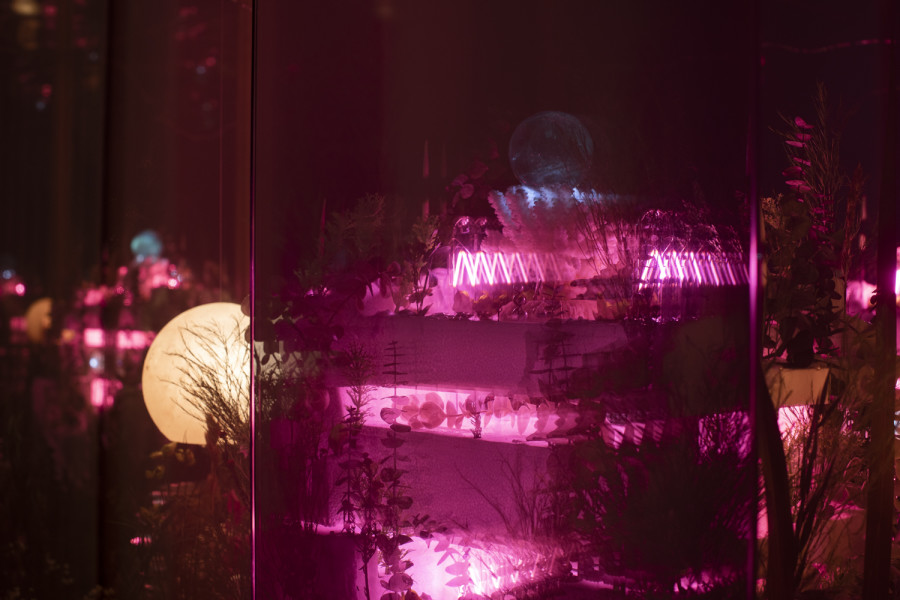 Exhibition view, Alexandre Joly, Double Rainbow, Wilde, 2022. Photo: Greg Clement