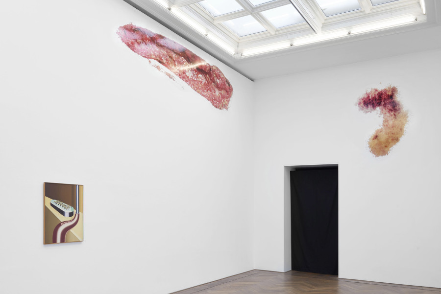 Installation view, Bizarre Silks, Private Imaginings and Narrative Facts, etc., an exhibition by Nick Mauss, view on (f.l.t.r.) Konrad Klapheck, Liberté, amour, art, 1964; Georgia Sagri, Open Wound, 2018; Georgia Sagri, Fresh Bruise, 2018, Kunsthalle Basel, 2020. Photo: Philipp Hänger / Kunsthalle Basel