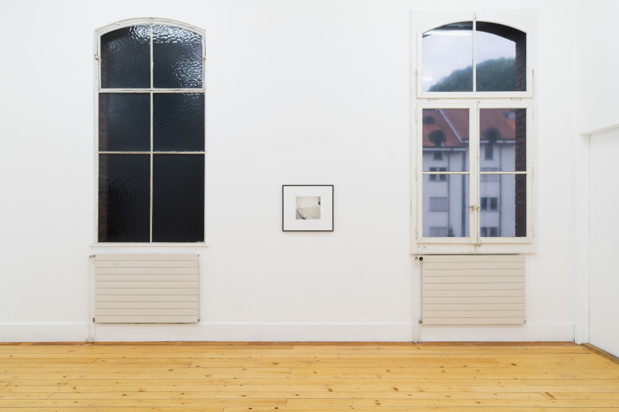 Julien Ceccaldi, Schaukasten for It’s Just Us, 2014, Ink and acrylic paint on inkjet print in painted frame, 30 × 40 cm. Courtesy the artists and Galerie Isabella Bortolozzi, Berlin