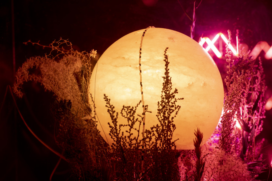 Exhibition view, Alexandre Joly, Double Rainbow, Wilde, 2022. Photo: Greg Clement