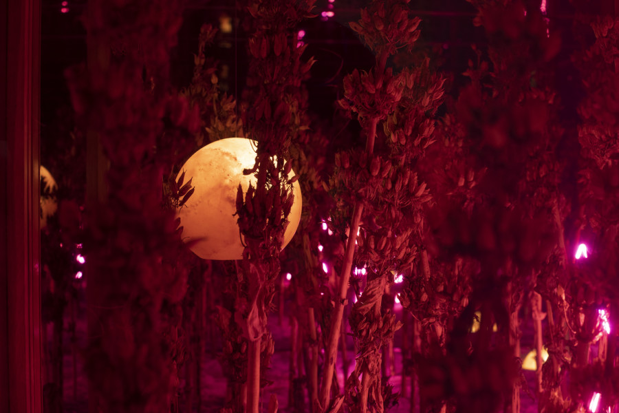 Exhibition view, Alexandre Joly, Double Rainbow, Wilde, 2022. Photo: Greg Clement