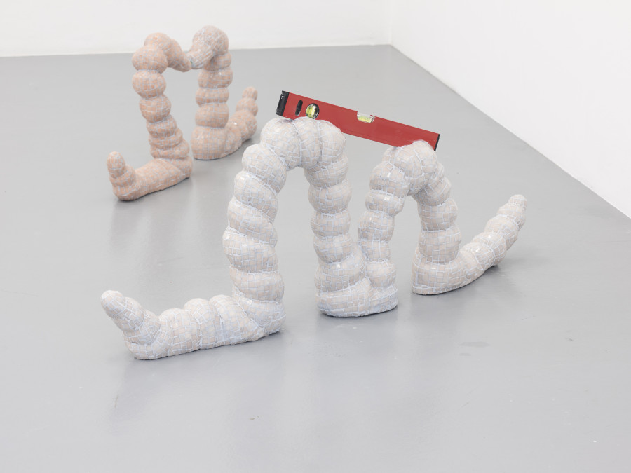 Zsófia Keresztes, Fence, 2022, Soft Alliance I-VI, Installation view, CAN Centre d’Art Neuchâtel, Photo: S. Verdon