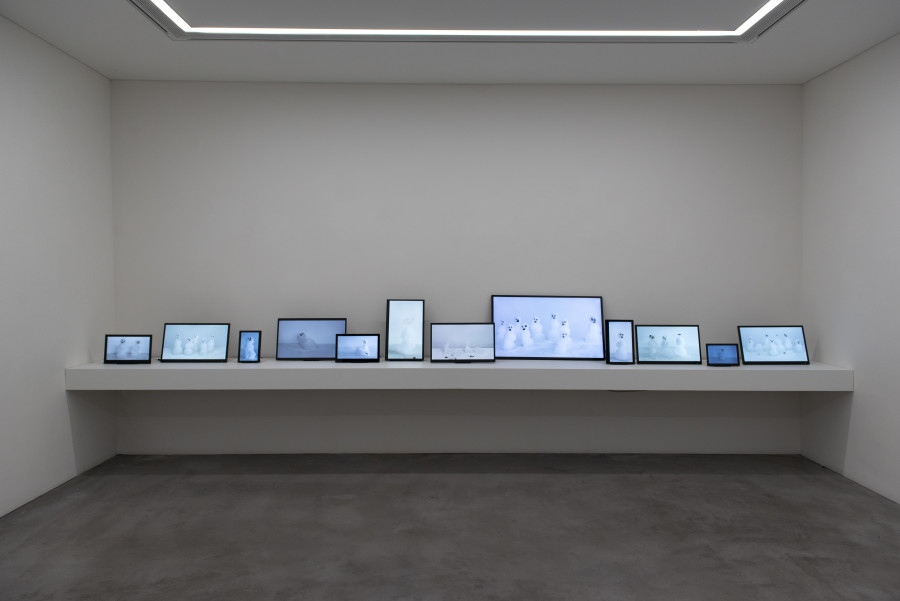 Ursula Palla, Great White 3, 2019, Videoinstallation, 12 Monitore, 3-8 Min, mit Ton.