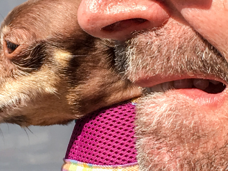 © Jeff Mermelstein, de la série Hardened, 2016.