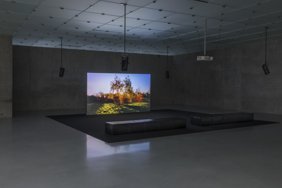 Unprecedented Times Installation view first floor, Kunsthaus Bregenz, 2020 Marianna Simnett Tito's Dog, 2020   Courtesy of the artist Photo: Markus Tretter (c) Kunsthaus Bregenz