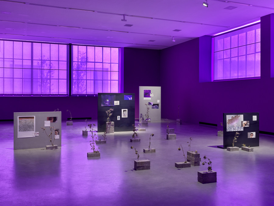 Basel Abbas & Ruanne Abou-Rhame, Where the soil has been disturbed, 2022, Archival Inkjet prints on metal and concrete panels, dried Syrian thistle and milk thistle, bricks. Courtesy the artist. Photo: Stefan Altenburger Photography, Zurich