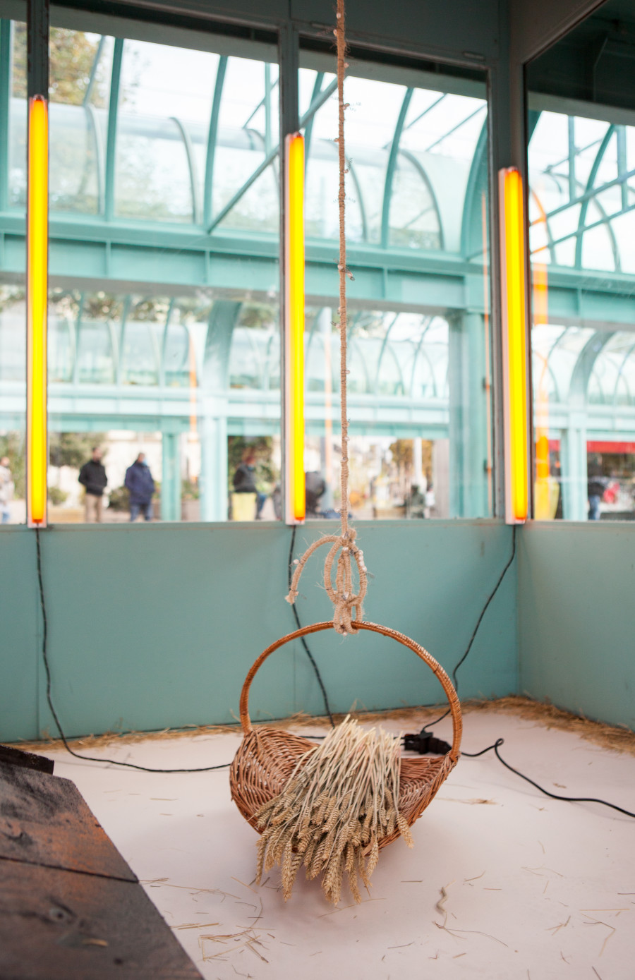 Doris Hardeman, Nothing more than ears of wheat, Zabriskie Point, 2021. Photo credit : Jerlyn Heinzen