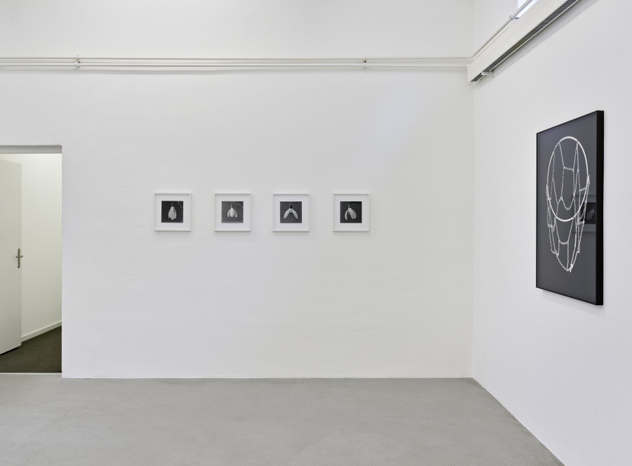 Exhibition view, Rebuilding Connections, Edition VFO, 2022.