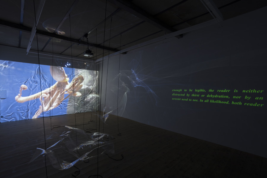 Exhibition view, Riikka Tauriainen – Intimacy of Strangers, sic! Elephanthouse, 2020-2021. Photo credit: Andri Stadler