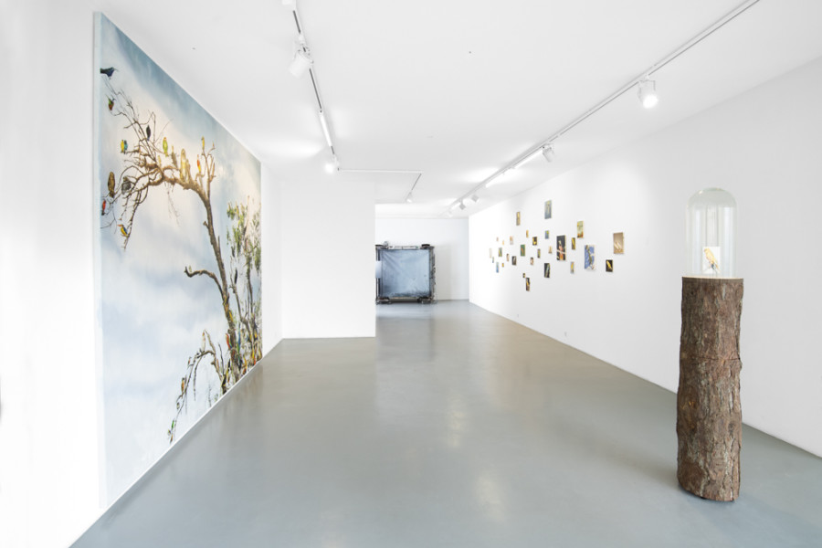 Léopold Rabus: Les propriétés des choses, exhibition view, Wilde, Geneva, 2021 © Photo: Greg Clément. Courtesy the artist and Wilde