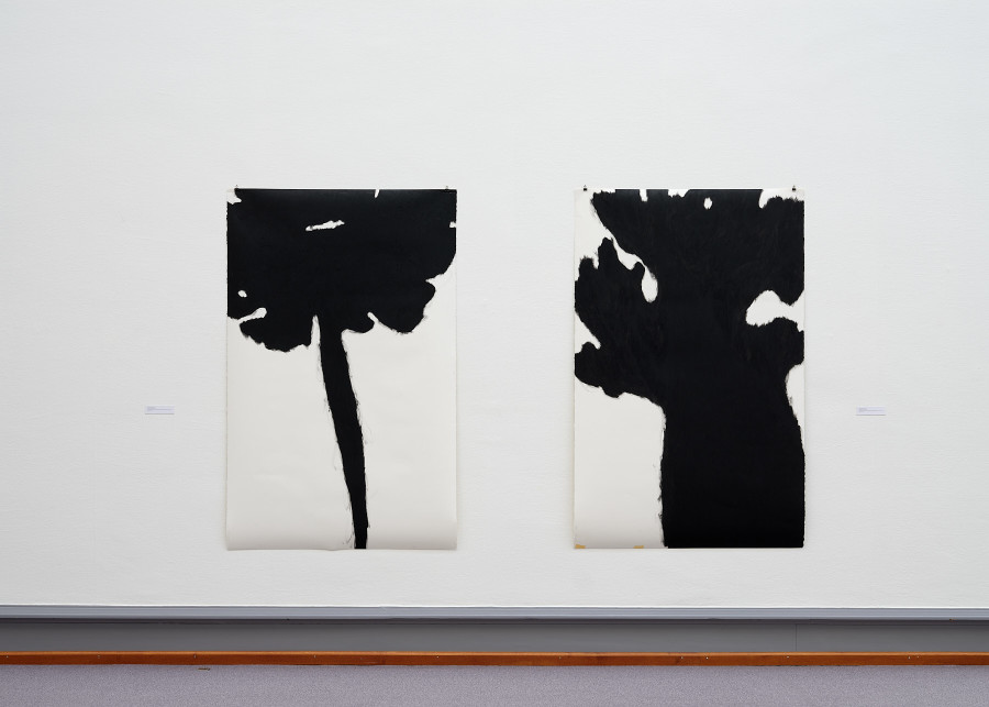 Exhibition view, Hémisphère, Kunstmuseum Solothurn, 2022.