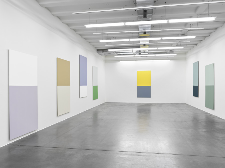 Kapwani Kiwanga, Linear Paintings, 2017-2021 Ausstellungsansicht | Exhibition view, Museum Haus Konstruktiv, 2022 Farbe auf Trockenbauwand | Paint on drywall sheet je I each 250 x 125 cm Foto I Photo: Stefan Altenburger
