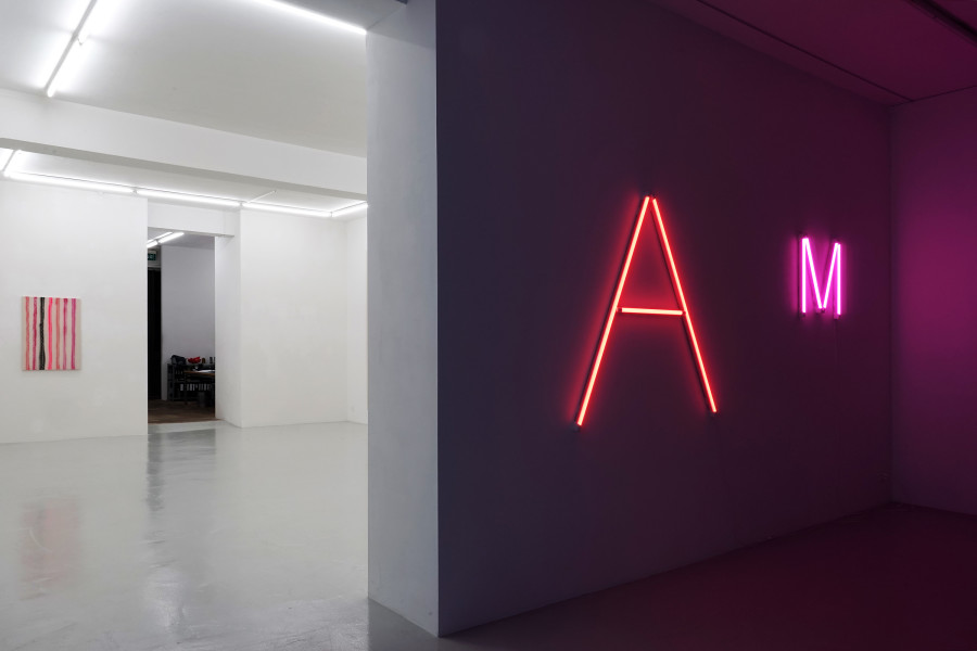 Anne-Lise Coste: No god, No boss, No husband, Exhibition view, 2022, Gallery Lullin + Ferrari