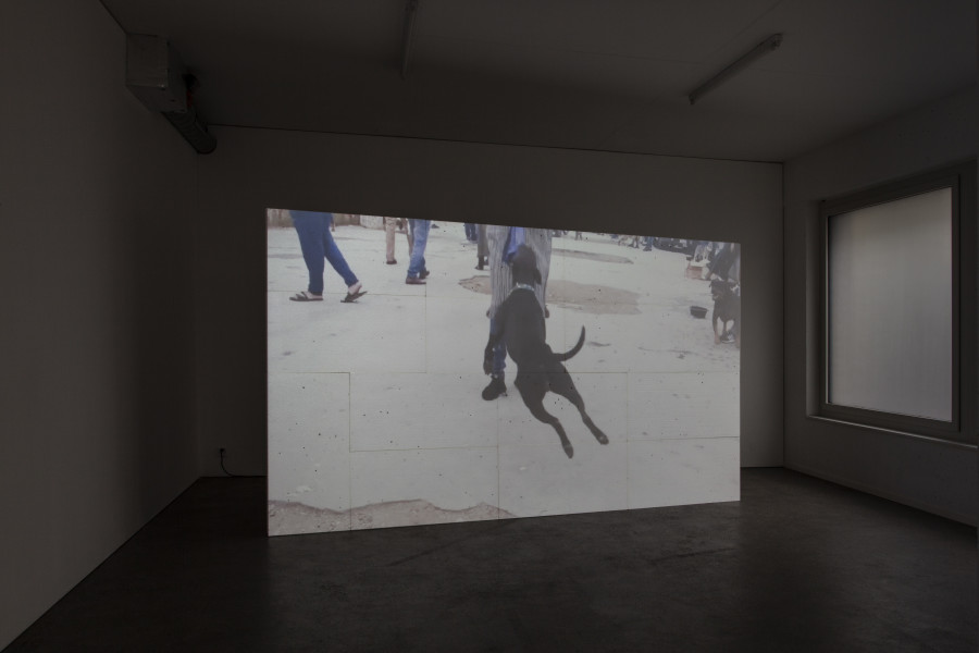 Exhibition view, d.e.d. world, 2022, HD video, color, sound, 16 secs (loop), projection on 14 Styrofoam panels, 2 x 3.5m, buttermilk on windows. Espace 3353, 2022. All credits to ©Anastasia Mityukova