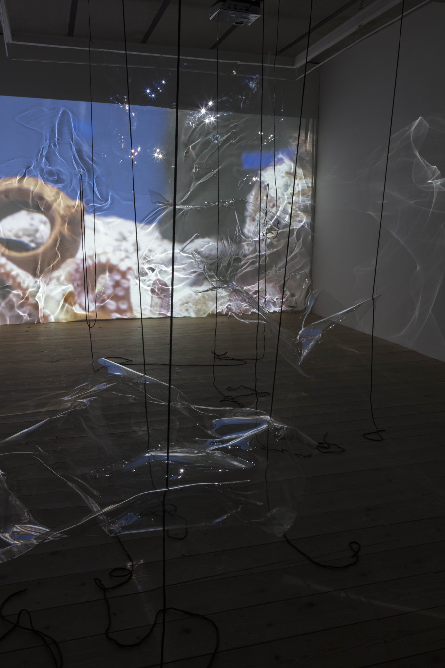 Exhibition view, Riikka Tauriainen – Intimacy of Strangers, sic! Elephanthouse, 2020-2021. Photo credit: Andri Stadler