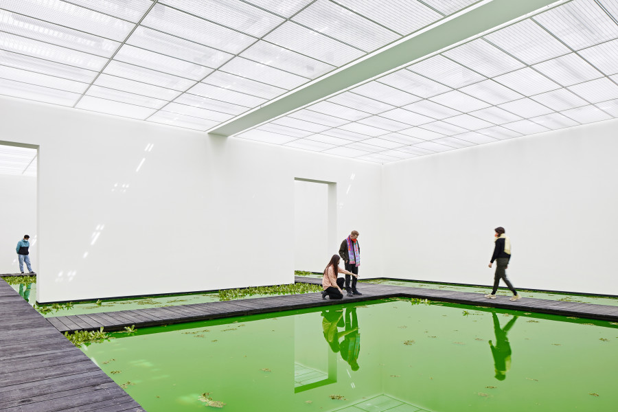 Installation view, Fondation Beyeler, Riehen/Basel, 2021 Courtesy of the artist; neugerriemschneider, Berlin; Tanya Bonakdar Gallery, New York / Los Angeles © 2021 Olafur Eliasson  Photo: Mark Niedermann